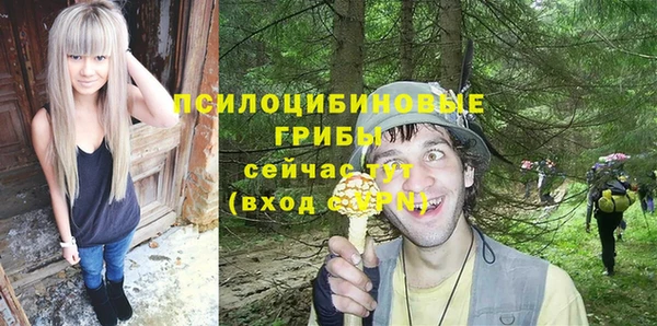 скорость Щучье