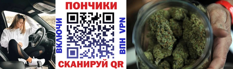 закладки Беломорск Бошки Шишки White Widow